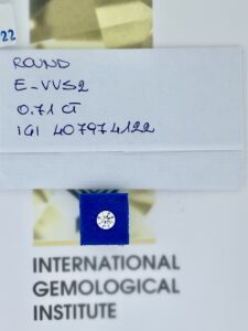 IMG E0305