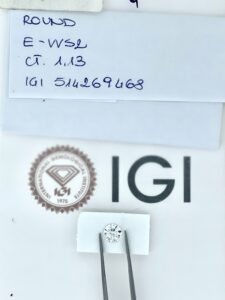 IMG E0308